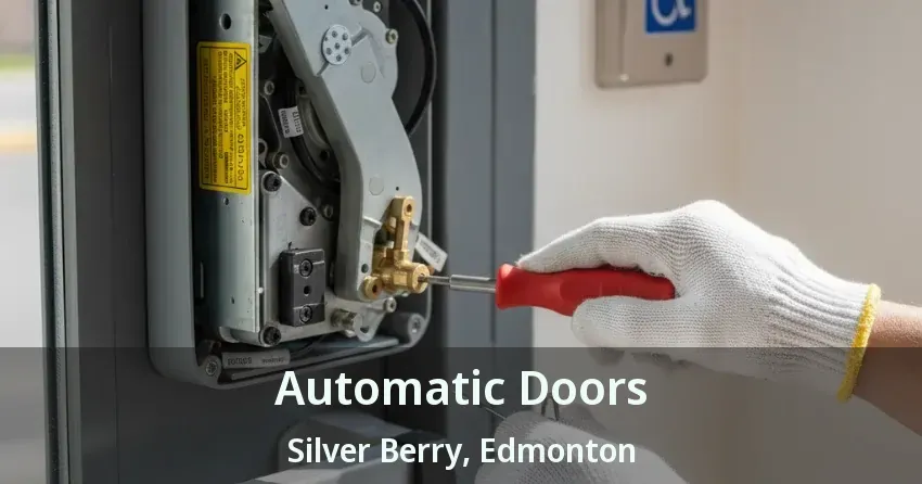 Automatic Doors Silver Berry, Edmonton - AB