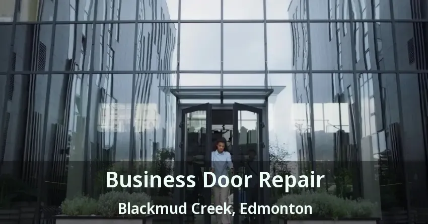 Business Door Repair Blackmud Creek, Edmonton - AB