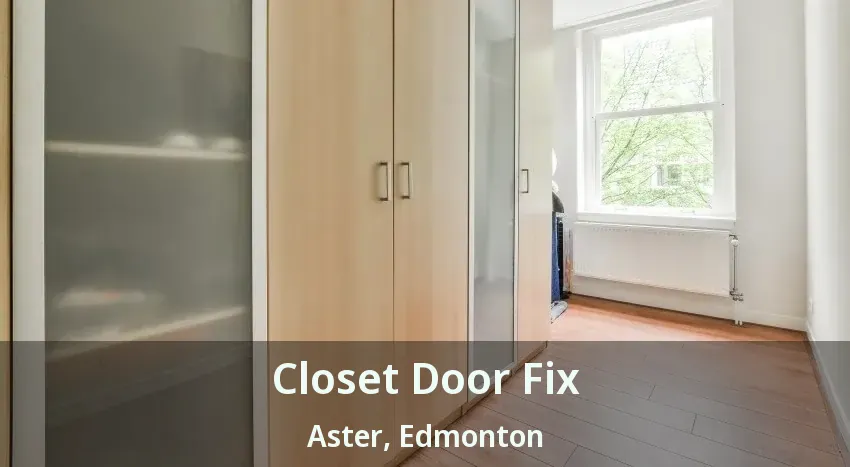 Closet Door Fix Aster, Edmonton - AB