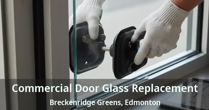 Commercial Door Glass Replacement Breckenridge Greens, Edmonton - AB