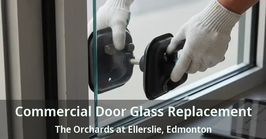 Commercial Door Glass Replacement The Orchards at Ellerslie, Edmonton - AB