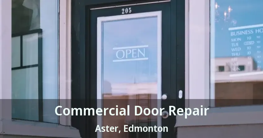 Commercial Door Repair Aster, Edmonton - AB