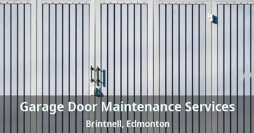 Garage Door Maintenance Services Brintnell, Edmonton - AB