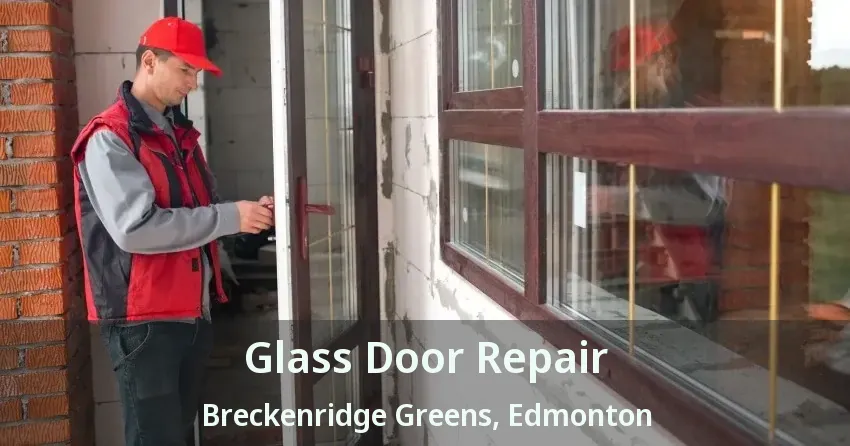 Glass Door Repair Breckenridge Greens, Edmonton - AB