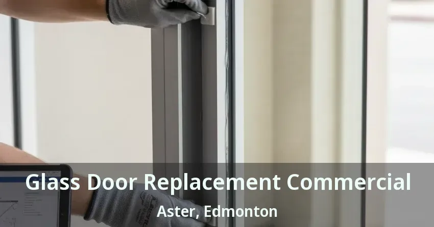 Glass Door Replacement Commercial Aster, Edmonton - AB