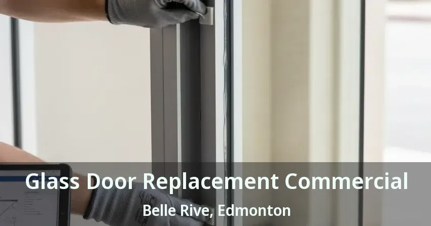 Glass Door Replacement Commercial Belle Rive, Edmonton - AB