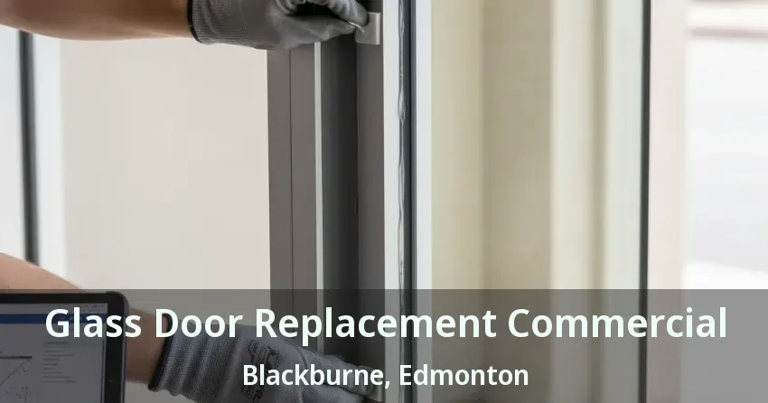 Glass Door Replacement Commercial Blackburne, Edmonton - AB
