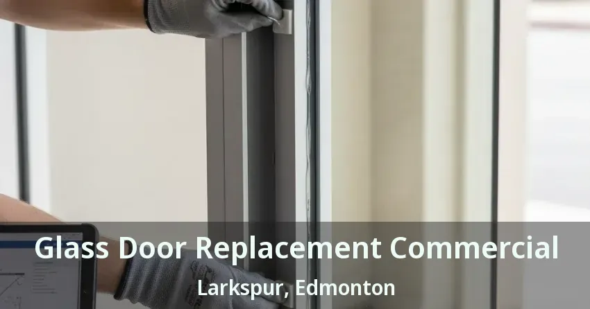 Glass Door Replacement Commercial Larkspur, Edmonton - AB