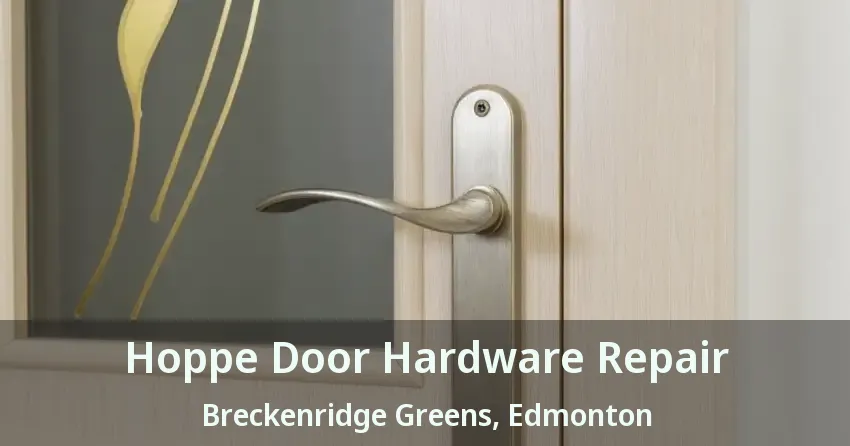 Hoppe Door Hardware Repair Breckenridge Greens, Edmonton - AB