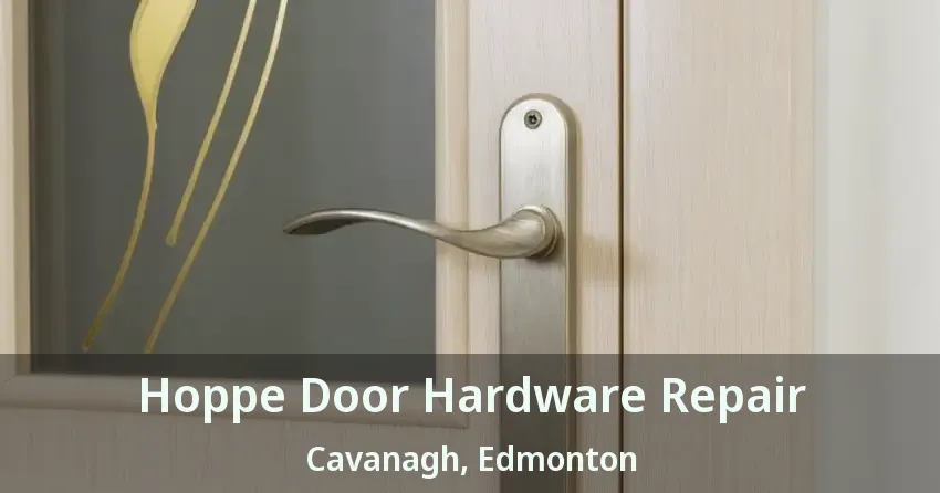 Hoppe Door Hardware Repair Cavanagh, Edmonton - AB