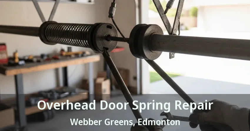 Overhead Door Spring Repair Webber Greens, Edmonton - AB