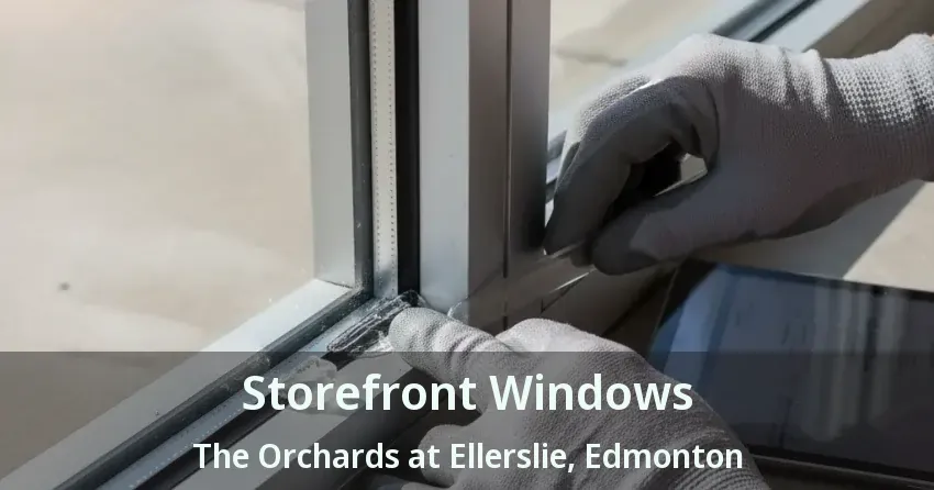 Storefront Windows The Orchards at Ellerslie, Edmonton - AB